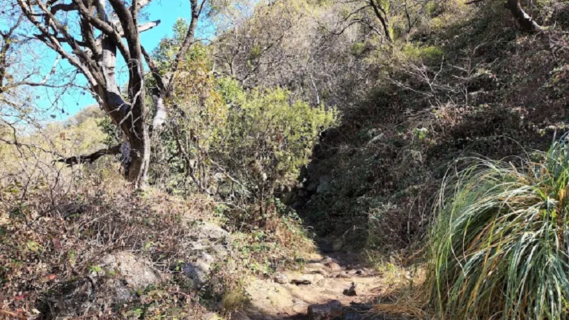 Dique Piscu Yaco
